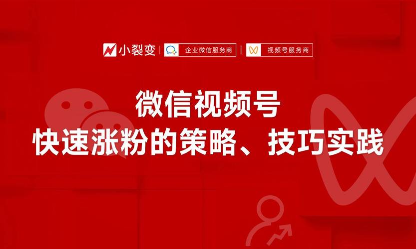 **标题:微信视频号关注度与粉丝数量提升秘籍:专家级策略大揭秘!**