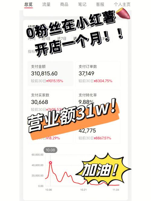 解锁小红书新高度,自助下单让粉丝量飙升