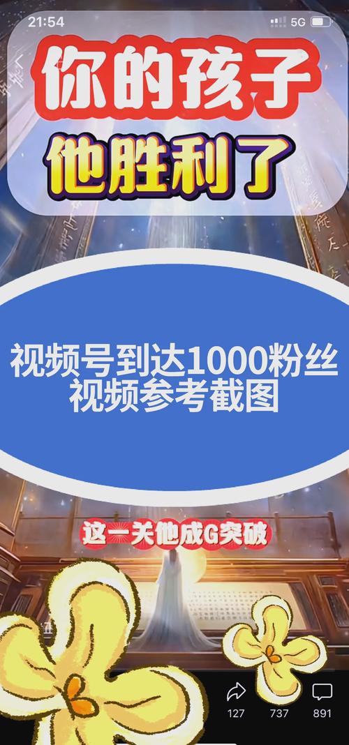 **视频号人气飙升秘籍:轻松斩获1000有效粉**