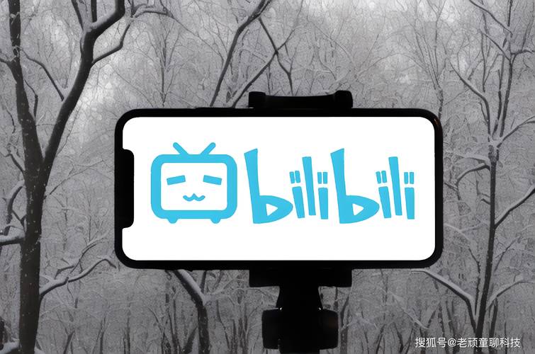 **标题:Bilibili代刷网探秘:玩转视频推广的新门户**