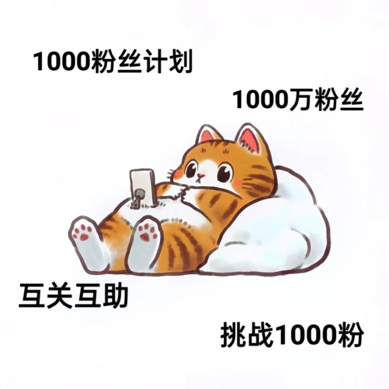 **抖音粉丝市场深探:千粉性价比之选**