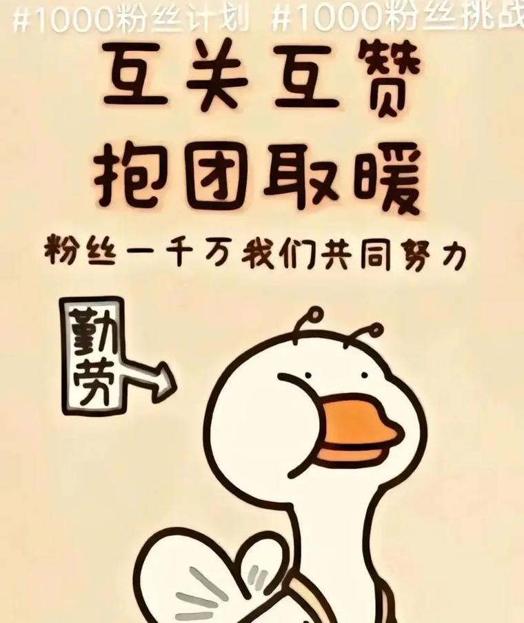 抖音粉丝速成法:1000粉丝轻松get