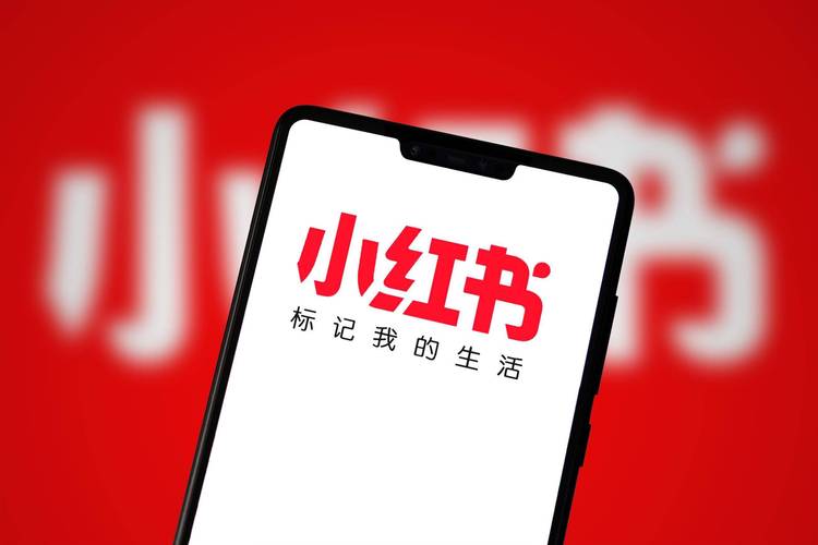 **标题:小红书粉丝自助购买攻略:轻松实现流量变现,赚钱又吸粉!**