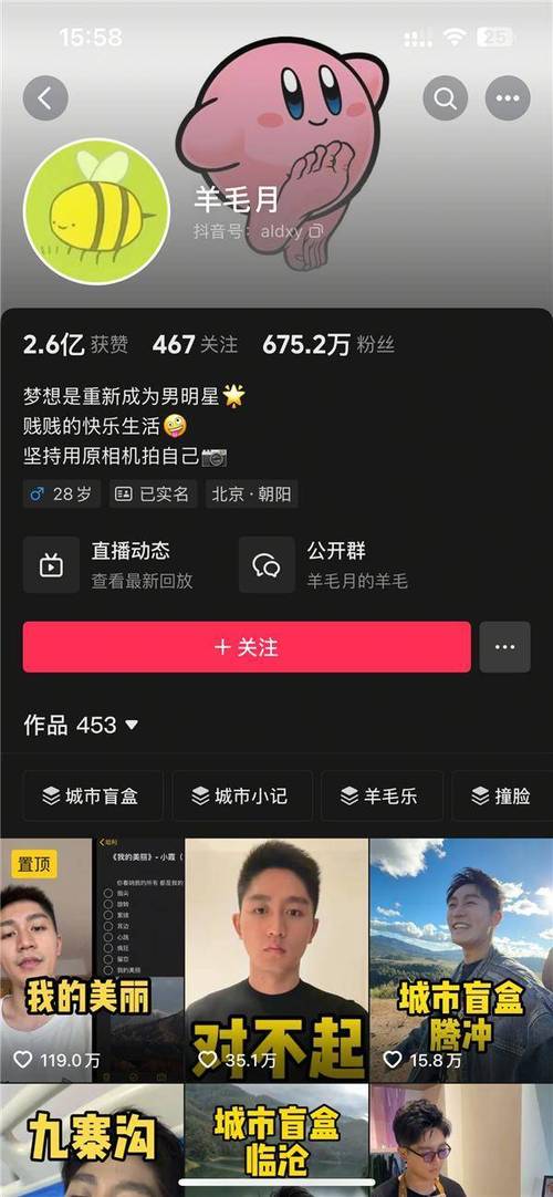 **标题:抖音新晋网红带货王,粉丝独享全网超低价!**
