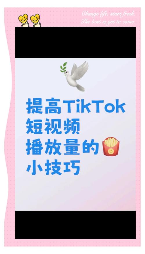 **B站创作者必看:揭秘免费提升视频播放量的独门秘籍!**