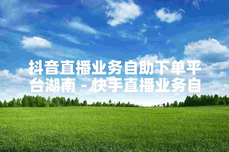 抖音热门自助下单,轻松打造短视频爆款