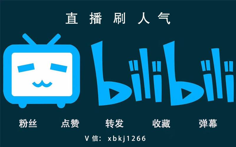 **揭秘哔哩哔哩播放量飙升的神秘推手**