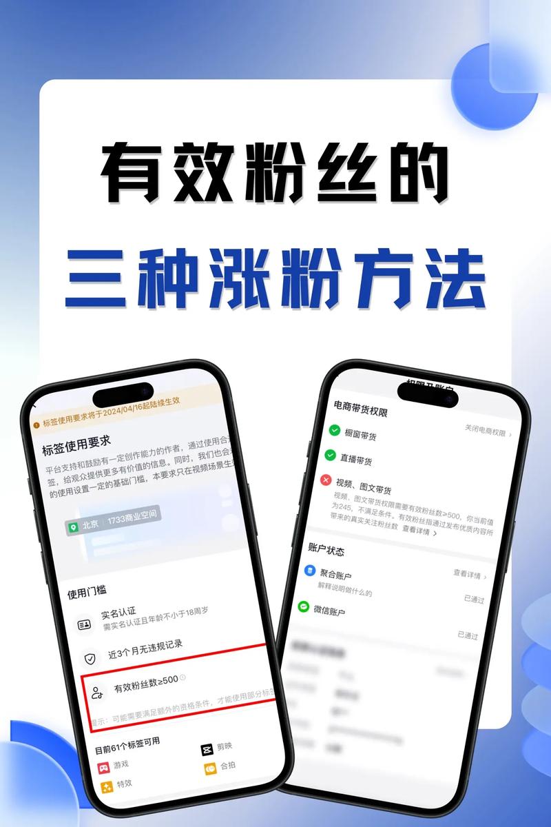 **抖音粉丝增长攻略:揭秘千粉价格与快速增长秘籍**