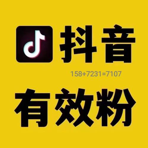 **500抖音粉丝助力成长,点燃短视频创作激情**