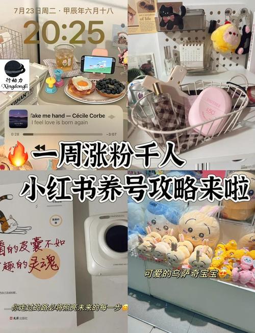 微博涨粉秘诀大揭秘:买粉自助助你轻松达成目标