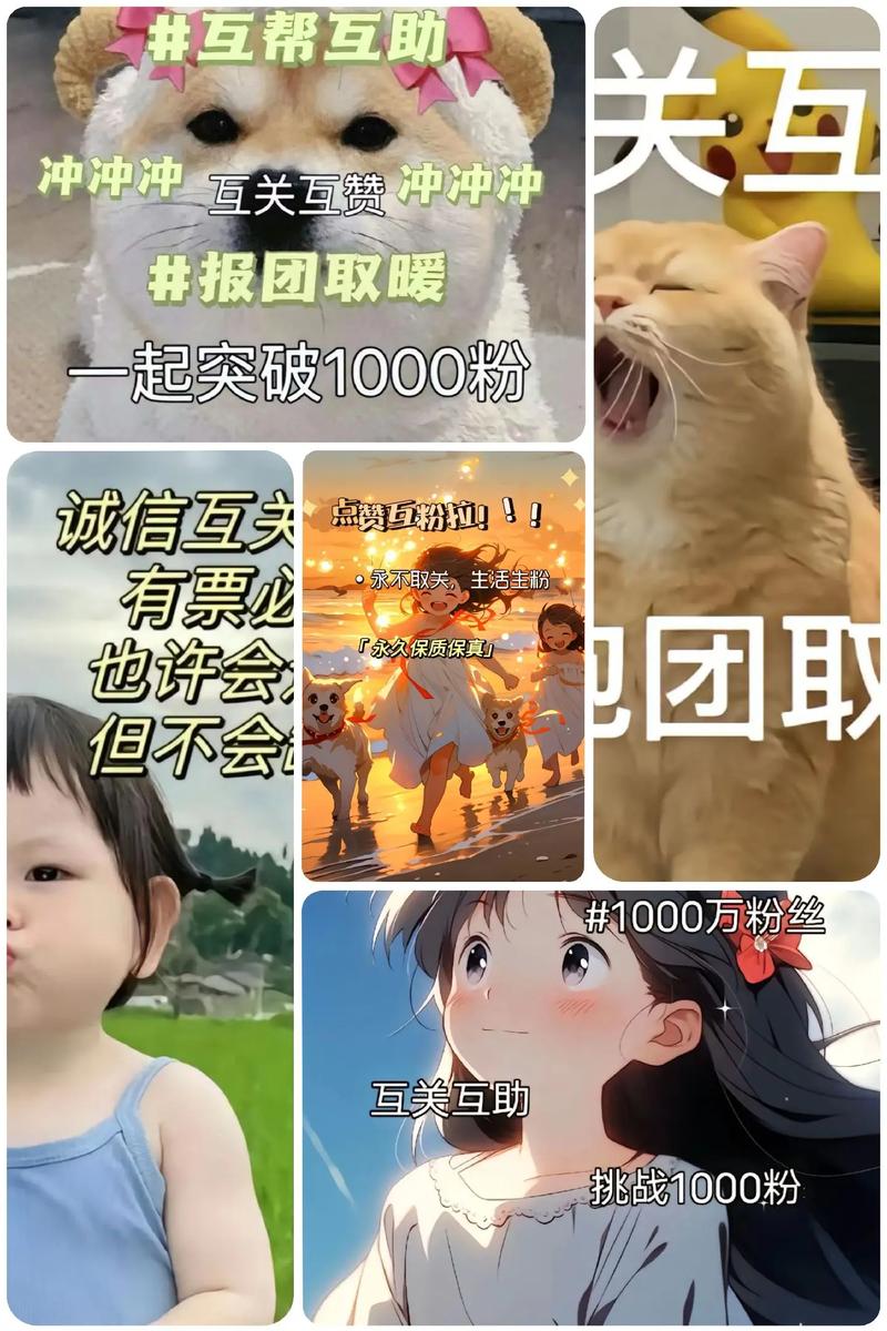 一掷千金不如一元刷粉丝!快手粉丝轻松突破千位!