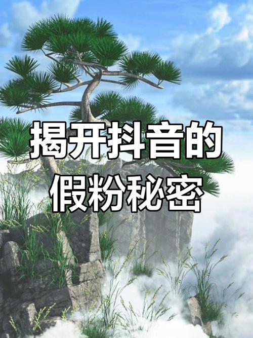 标题：揭秘抖音网红成功秘诀：购买1000真人关注背后的真相与策略