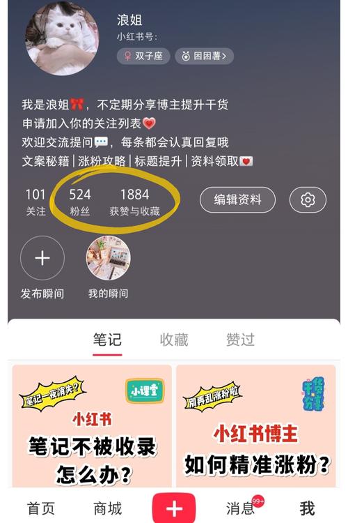 小红书粉丝自助下单,让你的账号更受欢迎