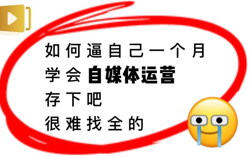 **B站视频爆火秘籍:揭秘播放量增长的神秘力量!**