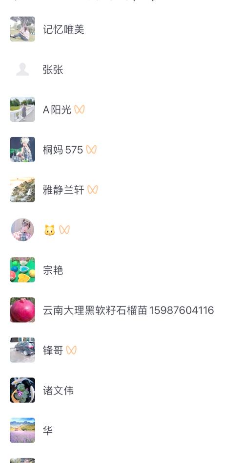 **标题：揭秘朋友圈视频号涨粉秘籍：从零到百的蜕变之路！**