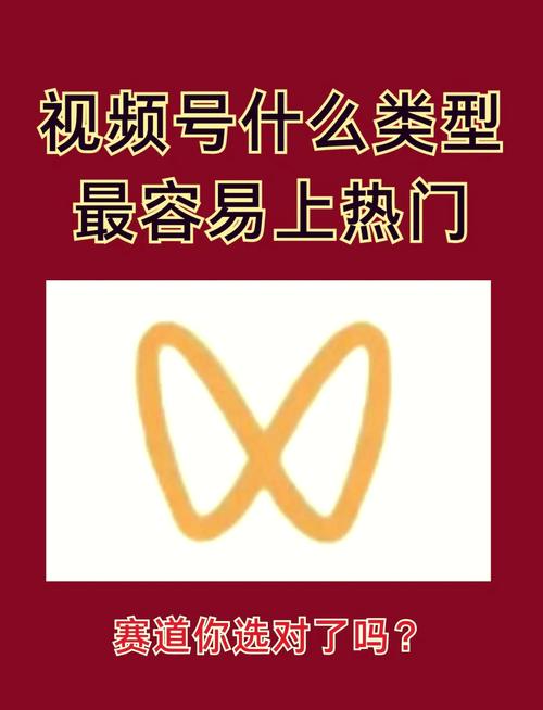 揭秘短视频成功的秘密武器:高效视频号刷赞平台的实战应用