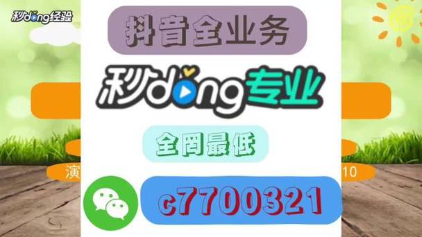 自助下单服务,助你抖音账号粉丝飙升
