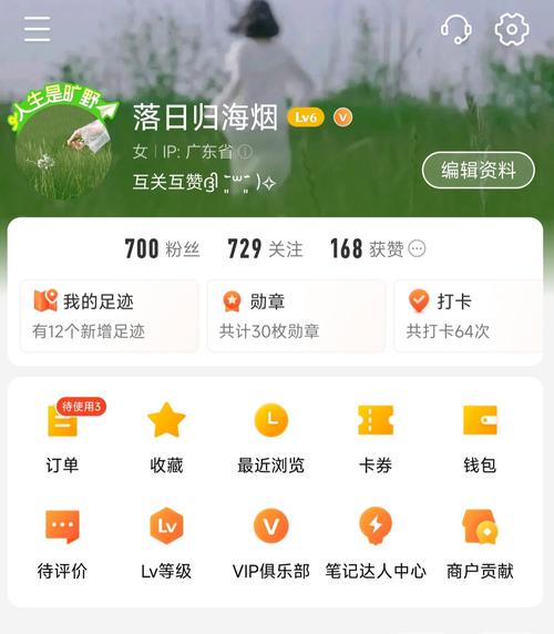 提升微博粉丝量的捷径:自助下单刷粉体验分享!