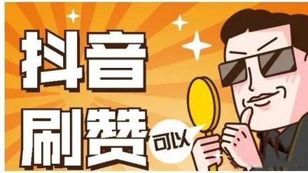 抖音人气翻倍秘诀,专业刷赞网站大解读