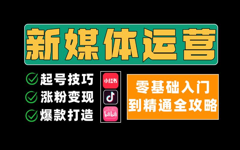 抖音涨粉新选择,网站平台下单打造个性化涨粉方案