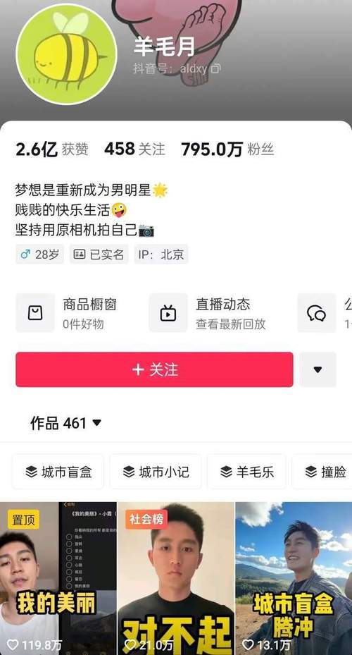 从零开始:购买抖音1000粉丝开启网红之旅