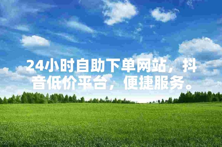 抖音自助下单平台网站,购物新平台,品质新保障